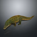 Realistic Green And Yellow Crocodile 3D Model With Detailed Texture On Dark Background