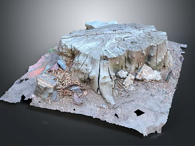 Wooden Tree Stump Decorative Piece With Natural Stone Elements And Textured Base 3d model