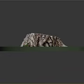 Green Plants Grass And Moss Surrounding Tree Stump In Round Display Natural Setting