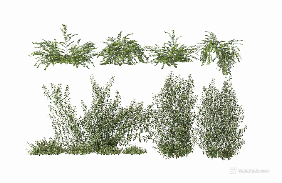 Various Green Leafy Shrubs With Diverse Foliage For Landscaping Projects 3d model 