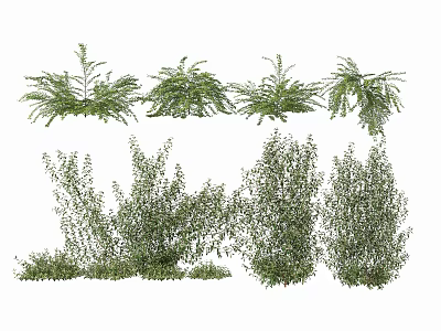 Various Green Leafy Shrubs With Diverse Foliage For Landscaping Projects 3d model