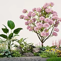 Lush Plant Combination with Pink Flowering Tree Large Leaves Green Foliage and Stone Path