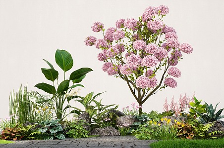 Plant Flowers and Plants Flower Mirror Group Wood Hydrangea Plant Combination Green Plant Pile 3d model