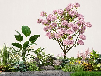 Plant Flowers and Plants Flower Mirror Group Wood Hydrangea Plant Combination Green Plant Pile 3d model