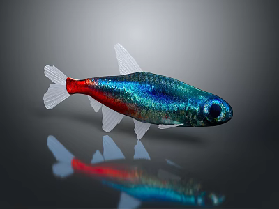 Red street lamp fish triangle lamp fish mickey fish moss rat swallows peacock tropical fish ornamental fish aquarium 3d model