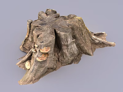 Stone Wood Stump with Natural Rustic Texture and Organic Design Features 3d model