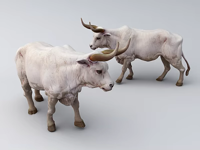 Two White Horned Reptiles Standing On Smooth White Studio Surface 3d model