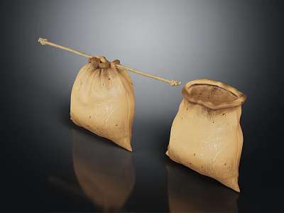 Brown Cloth Drawstring Bags For Daily Use One Opened And One Closed 3d model