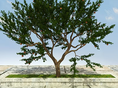 Deciduous Tree With Green Leaves And Red Fruits In Stone Border Grass Patch 3d model