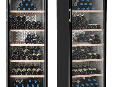 Double Door Wine Cooler With Modern Design Wooden Shelves And Ample Wine Storage 3d model