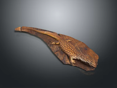 Spotted Brown Reptile Lizard Resting on Dry Brown Leaf with Scaly Skin 3d model