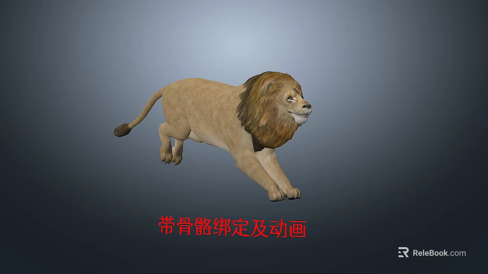 Realistic 3D Lion Model With Skeleton Rigging And Animation Details 3d model 