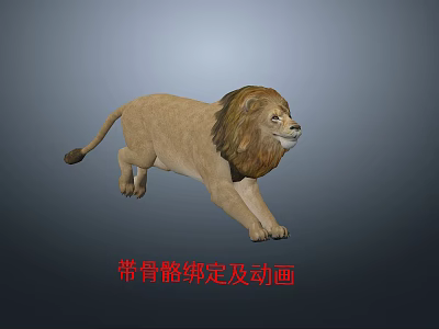 Realistic 3D Lion Model With Skeleton Rigging And Animation Details 3d model