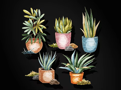 Different Types Of Succulent Plants In Colorful Pots With Stones And Grass 3d model