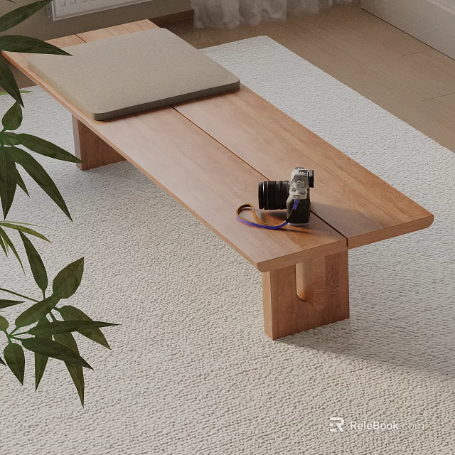 Wooden Bench With Gray Cushion And Camera On Light Carpet Near Green Plant Leaves 3d model 