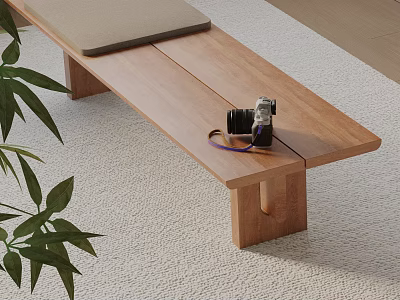 Wooden Bench With Gray Cushion And Camera On Light Carpet Near Green Plant Leaves 3d model