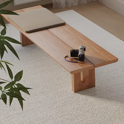 Wooden Bench With Gray Cushion And Camera On Light Carpet Near Green Plant Leaves 3d model