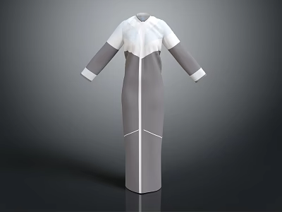 Stylish Modern Long Sleeve Gray White Dress With Minimalist Panel Design 3d model