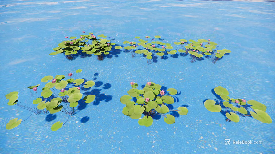 Aquatic Plants Featuring Lily Pads And Pink Lotus Flowers Floating On Blue Water In Clusters 3d model 