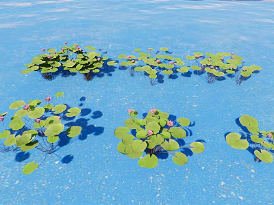 Aquatic Plants Featuring Lily Pads And Pink Lotus Flowers Floating On Blue Water In Clusters 3d model