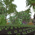 Garden Landscape Design With Lush Trees Tall Palm Trees Pink Flowers And Neat Vegetable Seedlings