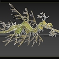 leaf sea dragon leaf shape sea dragon dragon dragon branch leaf seahorse marine biological animal 3d model