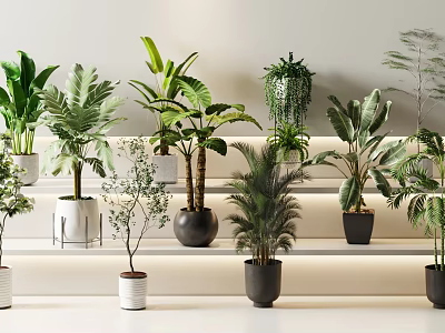 Modern Indoor Potted Plants Display With Various Green Species And Illuminated Shelves 3d model