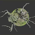 Miniature Dead Tree Model With Green Moss And Round Base