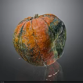 Vibrant Multi Colored Textured Pumpkin On Black Background With Reflective Surface