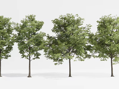 Modern Tree Landscape Tree Street Tree Garden Tree 3d model
