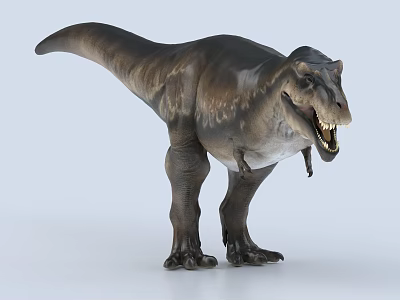 Realistic Tyrannosaurus Rex Dinosaur Model With Open Mouth And Detailed Skin 3d model