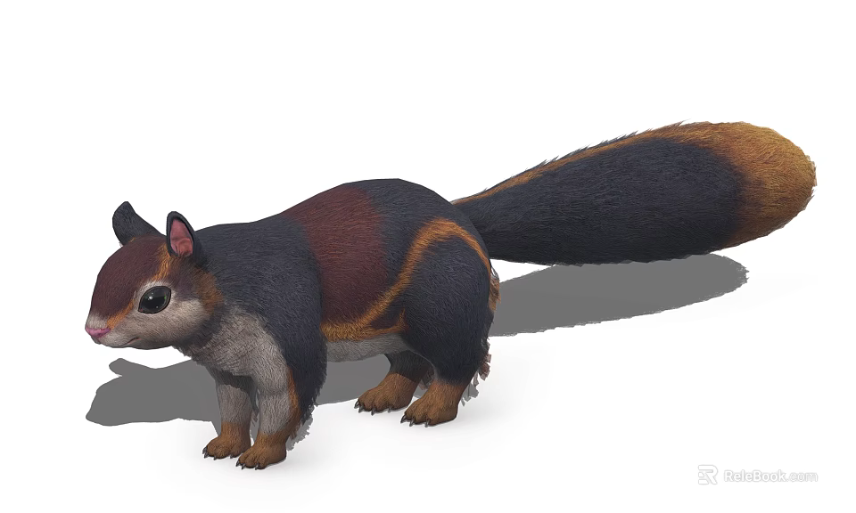 Realistic 3D Squirrel Model With Black Brown Gray Fur And Long Tail Standing Pose 3d model