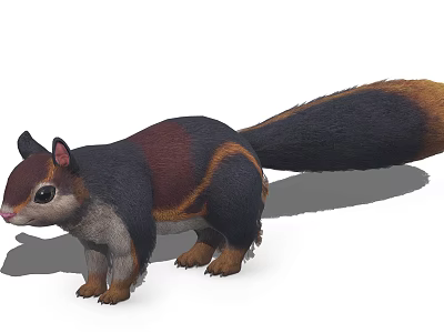 Realistic 3D Squirrel Model With Black Brown Gray Fur And Long Tail Standing Pose 3d model