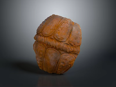Orange Textured Turtle Shell Sculpture with Intricate Patterns On Dark Background 3d model