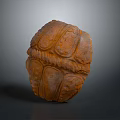 Orange Textured Turtle Shell Sculpture with Intricate Patterns On Dark Background