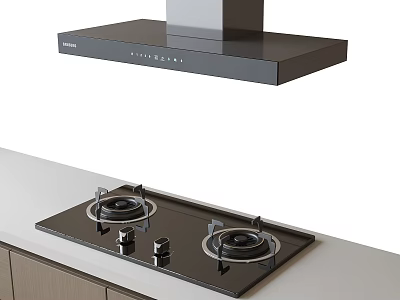 Modern Kitchen Appliances With Gas Stove And Range Hood On Countertop 3d model