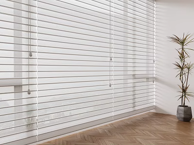 White Window Blinds In Modern Room With Wooden Floor And Indoor Plant 3d model