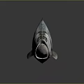 Fresh Silver Fish With Prominent Fins And Eyes On Dark Reflective Surface