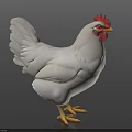 White Chicken With Red Comb Wattle And Yellow Feet On Dark Background