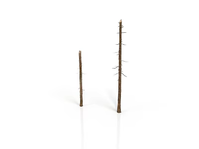 Brown Plant Branches With Small Thorns And Tiny Twigs In Varying Heights On White Background 3d model