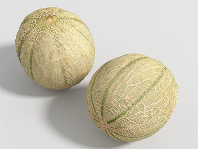 Two Fresh Juicy Cantaloupe Melons With Netted Skin And Green Stripes 3d model