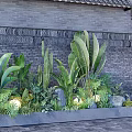 Lush Green Plants in Rectangular Planter with Carved Gray Brick Wall Stones and Bottom Lighting