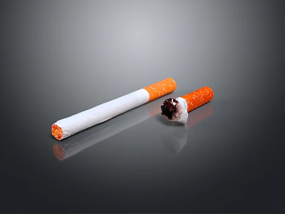 Two Cigarettes One Full Orange Filter And One Lit Burning Tip On Dark Surface 3d model