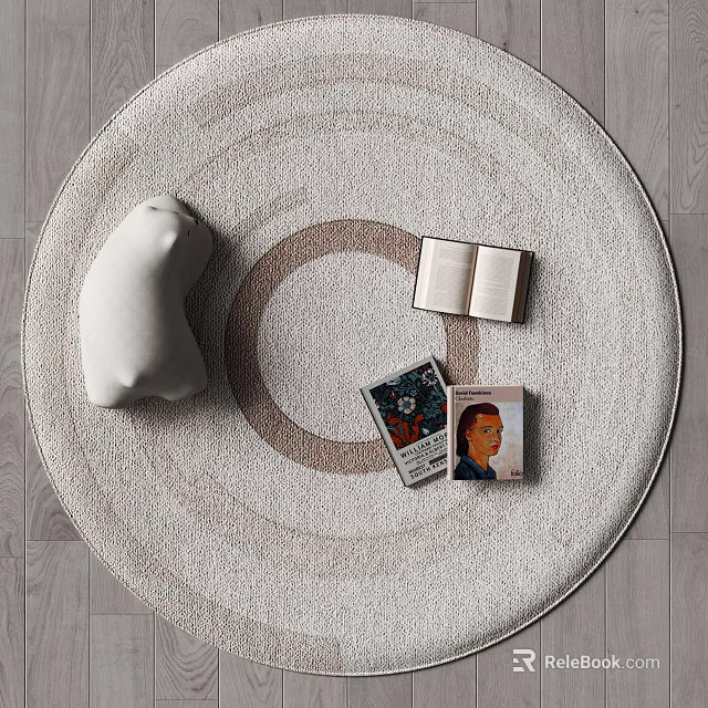 Cozy Round Rug With Cushion Open Book And Magazines On Wood Floor 3d model 