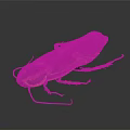 Detailed Cockroach With Orange Black Patterns And Red Legs On Dark Background