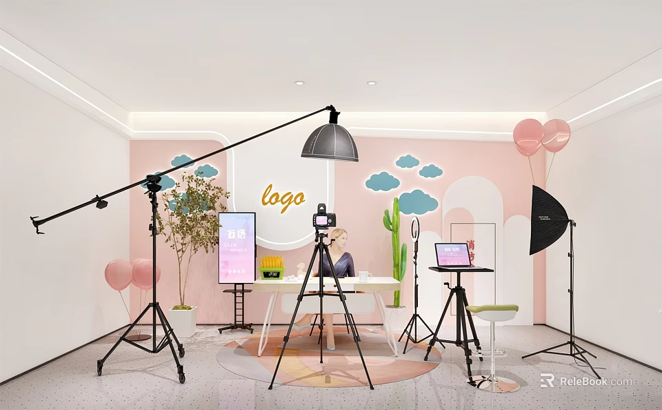 Modern Public Office Space With Photography Gear Screen Cloud Decor And Cactus Plants 3d model 