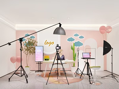 Modern Public Office Space With Photography Gear Screen Cloud Decor And Cactus Plants 3d model