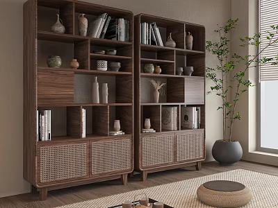 Modern Wooden Bookshelf with Books Decorative Items Multiple Shelves Woven Doors and Green Plant 3d model