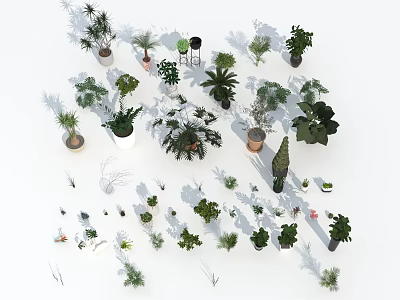 Diverse Bonsai and Potted Plants Collection With Various Sizes Shapes and Pot Styles 3d model