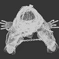 Game and Movie Characters With Spiked Conical Heads And Wrapped Bodies In Eerie Sitting Posture